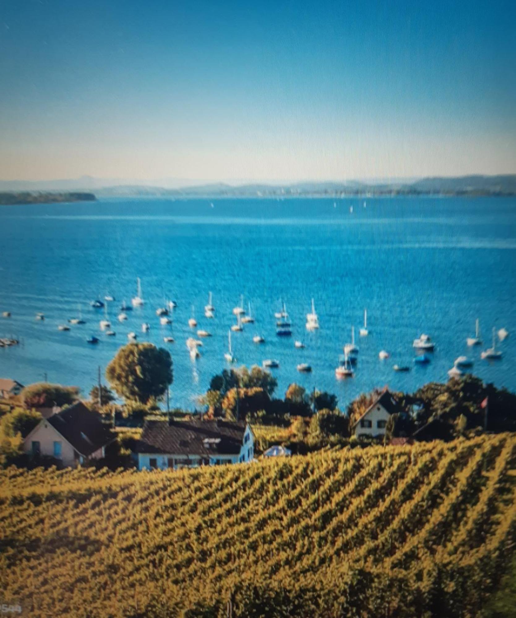 Ferienzentrum Bodensee Oberteuringen Εξωτερικό φωτογραφία